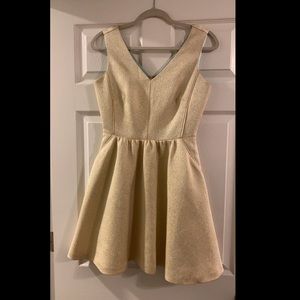 Gold Vineyard Vines dress.